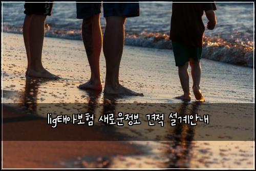 lig태아보험 새로운정보  견적 설계안내
