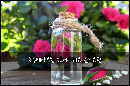 ๋๋ถํ์๋ณดํ ์์ด์ผํด์ ์ค๋น์๋ น