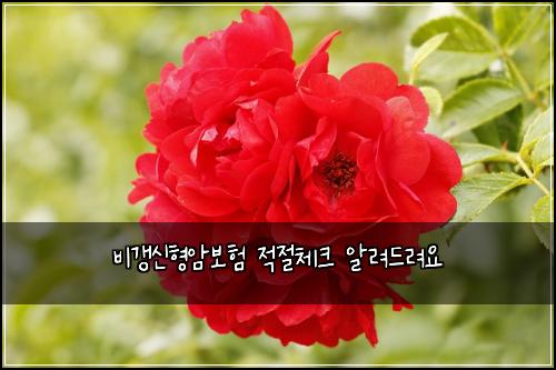 비갱신형암보험 적절체크  알려드려요