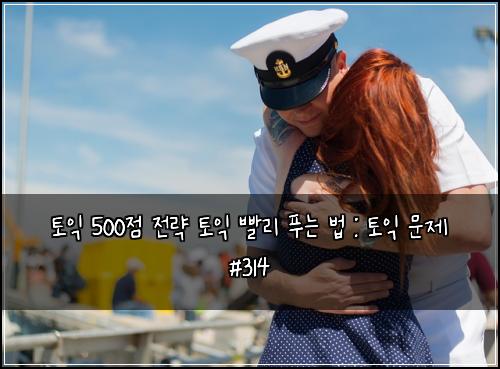 토익 500점 전략 토익 빨리 푸는 법 : 토익 문제 #314