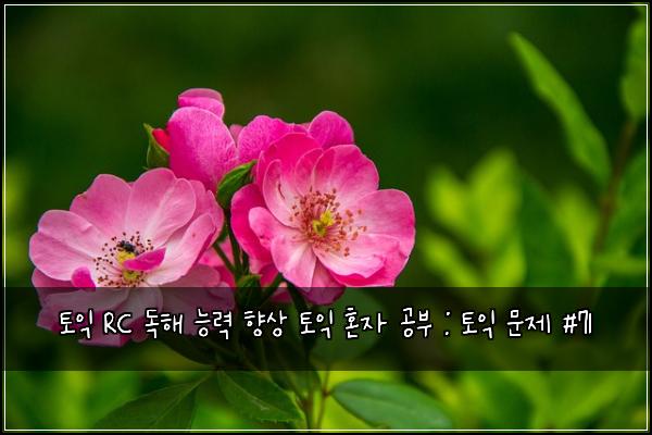 토익 RC 독해 능력 향상 토익 혼자 공부 : 토익 문제 #71