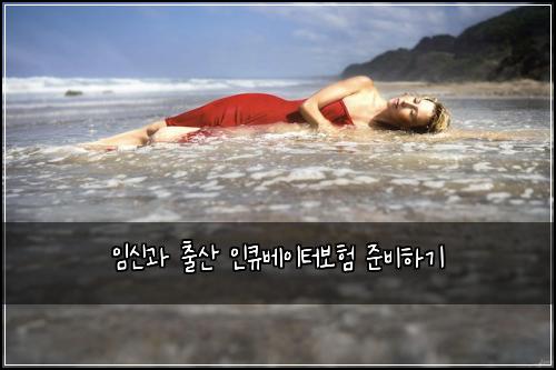 임신과 출산 인큐베이터보험 준비하기