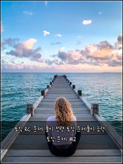 토익 RC 문제 풀이 전략 토익 문제풀이 능력 : 토익 문제 #12