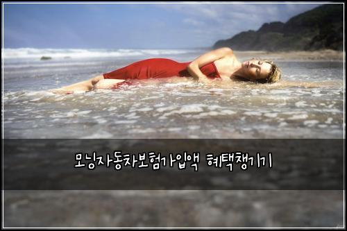 ๋ชจ๋์๋์ฐจ๋ณดํ๊ฐ์
์ก ํํ์ฑ๊ธฐ๊ธฐ