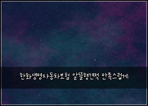 한화생명자동차보험 알뜰형견적  만족스럽게