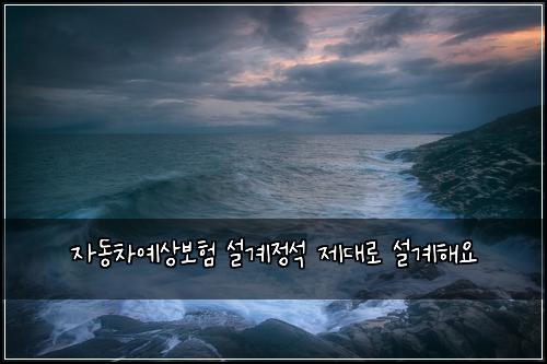 자동차예상보험 설계정석  제대로 설계해요