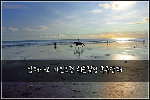 상해사고 개인보험 쉬운결정  후유장해