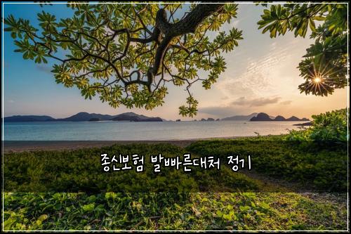 종신보험 발빠른대처  정기