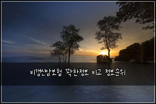 ๋น๊ฐฑ์ ์๋ณดํ ๊ฝ์ฐฌ์ ๋ณด ๋น๊ต ์ ๋ณด์์