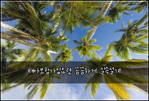태아보험가입요령 꼼꼼하게 실속설계