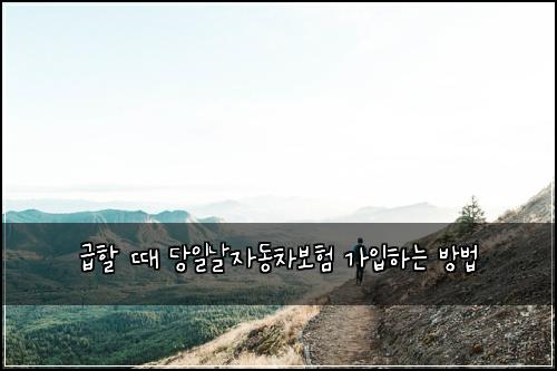 급할 때 당일날자동차보험 가입하는 방법
