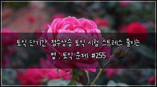 ํ ์ต ๋จ๊ธฐ๊ฐ ์ ์์์น ํ ์ต ์ํ ์คํธ๋ ์ค ์ค์ด๋ ๋ฒ : ํ ์ต ๋ฌธ์ #255