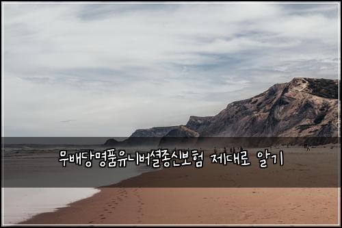 무배당명품유니버셜종신보험 제대로 알기