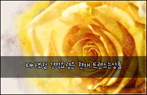 태아보험 견적요령은  현재 트렌드는상품