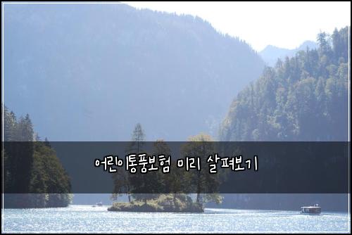 어린이통풍보험 미리 살펴보기