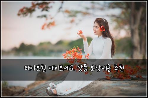ํ์๋ณดํ ๋๋น๋ณด์ธ์ ์ํ ๋ณด์ฅ๋ด์ฉ ์ถ์ฒ