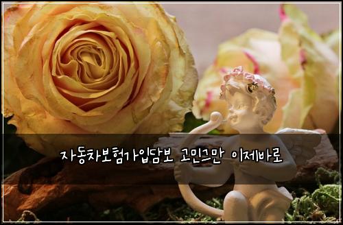 μλ차보νκ°μ
λ΄λ³΄ κ³ λ―Όκ·Έλ§ μ΄μ λ°λ‘