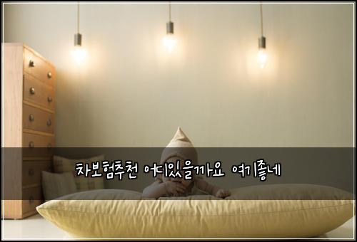 차보험추천 어디있을까요 여기좋네