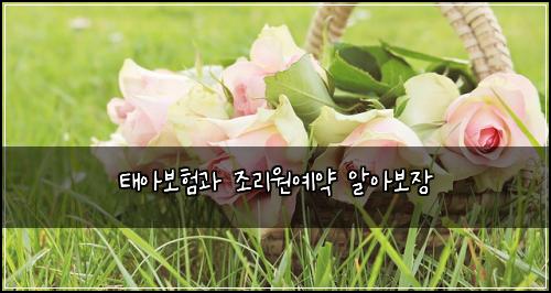 태아보험과 조리원예약 알아보장