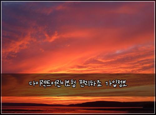 ๋ค์ด๋ ํธ์ด๋ฆฐ์ด๋ณดํ ํธ๋ฆฌํ์ฃ ๊ฐ์
์ ๋ณด