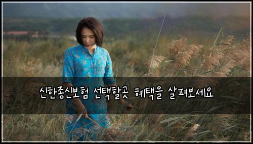 ์ ํ์ข
์ ๋ณดํ ์ ํํ ๊ณณ ํํ์ ์ดํด๋ณด์ธ์