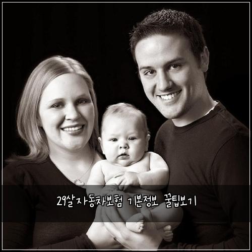 29살자동차보험 기본정보  꿀팁보기