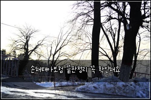 손해태아보험 끝판정리  꼭 확인해요