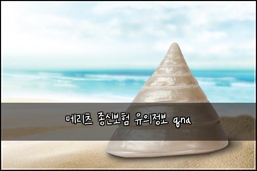 메리츠 종신보험 유의정보  qna
