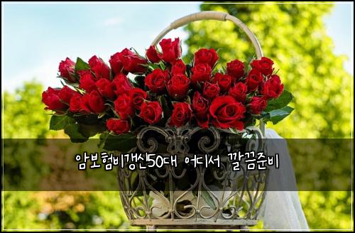 암보험비갱신50대 어디서 깔끔준비