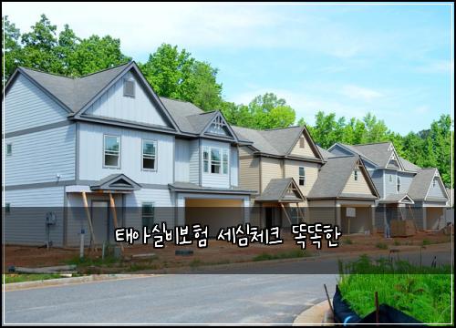 태아실비보험 세심체크  똑똑한