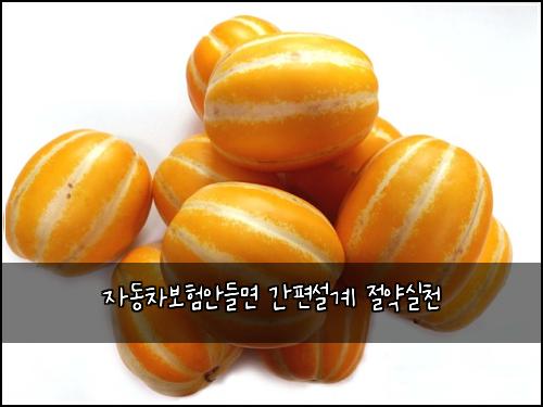์๋์ฐจ๋ณดํ์๋ค๋ฉด ๊ฐํธ์ค๊ณ ์ ์ฝ์ค์ฒ