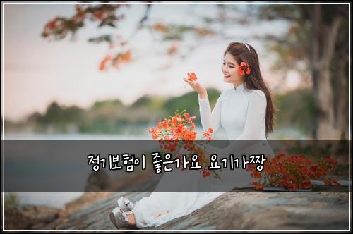 ์ ๊ธฐ๋ณดํ์ด ์ข์๊ฐ์ ์๊ธฐ๊ฐ์งฑ