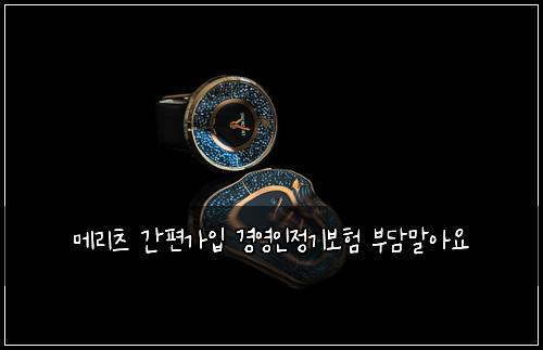 메리츠 간편가입 경영인정기보험 부담말아요 
