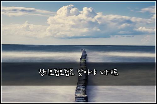 정기보험보험료 알아야 제대로
