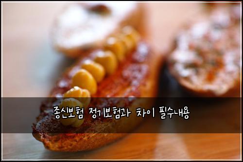 종신보험 정기보험과 차이 필수내용
