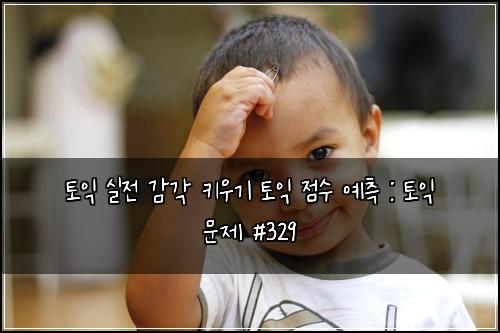 토익 실전 감각 키우기 토익 점수 예측 : 토익 문제 #329