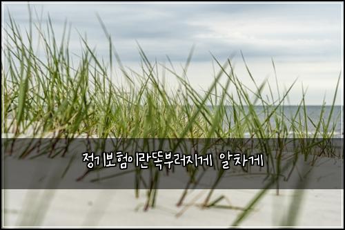 ์ ๊ธฐ๋ณดํ์ด๋๋๋ถ๋ฌ์ง๊ฒ ์์ฐจ๊ฒ
