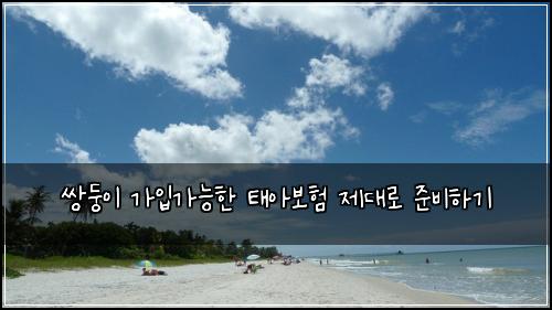 쌍둥이 가입가능한 태아보험 제대로 준비하기