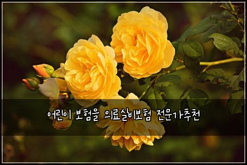 ์ด๋ฆฐ์ด ๋ณดํ์ ์๋ฃ์ค๋น๋ณดํ ์ ๋ฌธ๊ฐ์ถ์ฒ