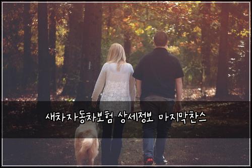 ์์ฐจ์๋์ฐจ๋ณดํ ์์ธ์ ๋ณด ๋ง์ง๋ง์ฐฌ์ค