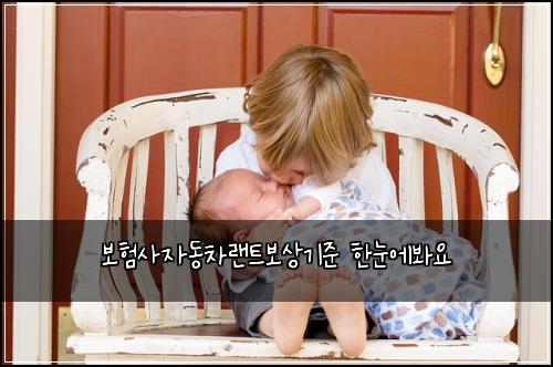 ๋ณดํ์ฌ์๋์ฐจ๋ํธ๋ณด์๊ธฐ์ค ํ๋์๋ด์