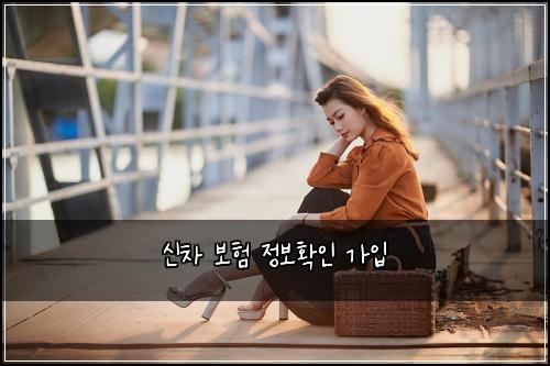 ์ ์ฐจ ๋ณดํ ์ ๋ณดํ์ธ ๊ฐ์