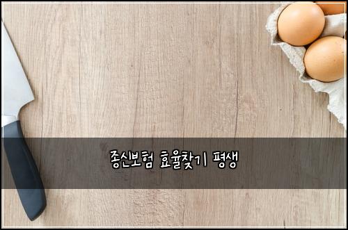 종신보험 효율찾기  평생