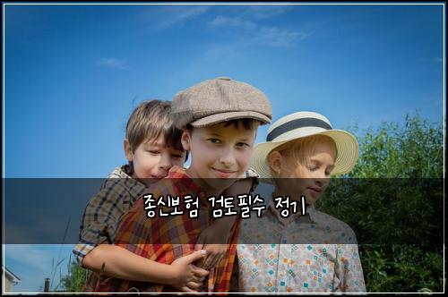 종신보험 검토필수  정기