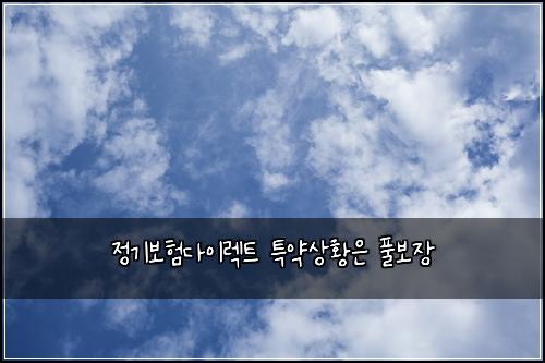 μ 기보νλ€μ΄λ νΈ νΉμ½μν©μ ν보μ₯