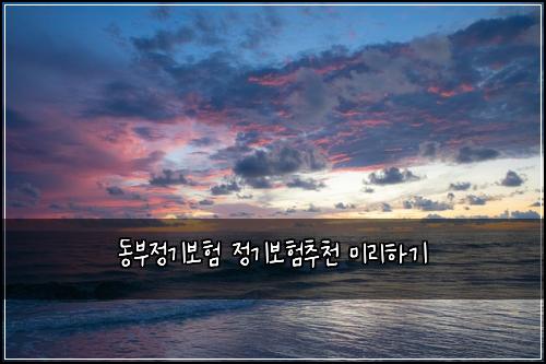 동부정기보험 정기보험추천 미리하기