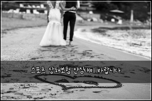 스포츠 상해보험 안심대비  바랍니다