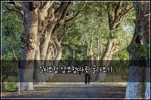 실비보험 암보험따로 골라보기