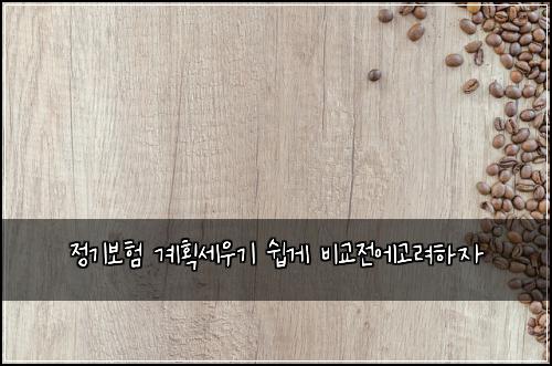 정기보험 계획세우기  쉽게 비교전에고려하자