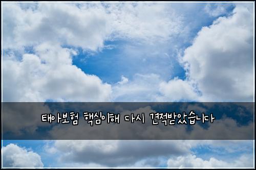 ํ์๋ณดํ ํต์ฌ์ดํด ๋ค์ ๊ฒฌ์ ๋ฐ์์ต๋๋ค